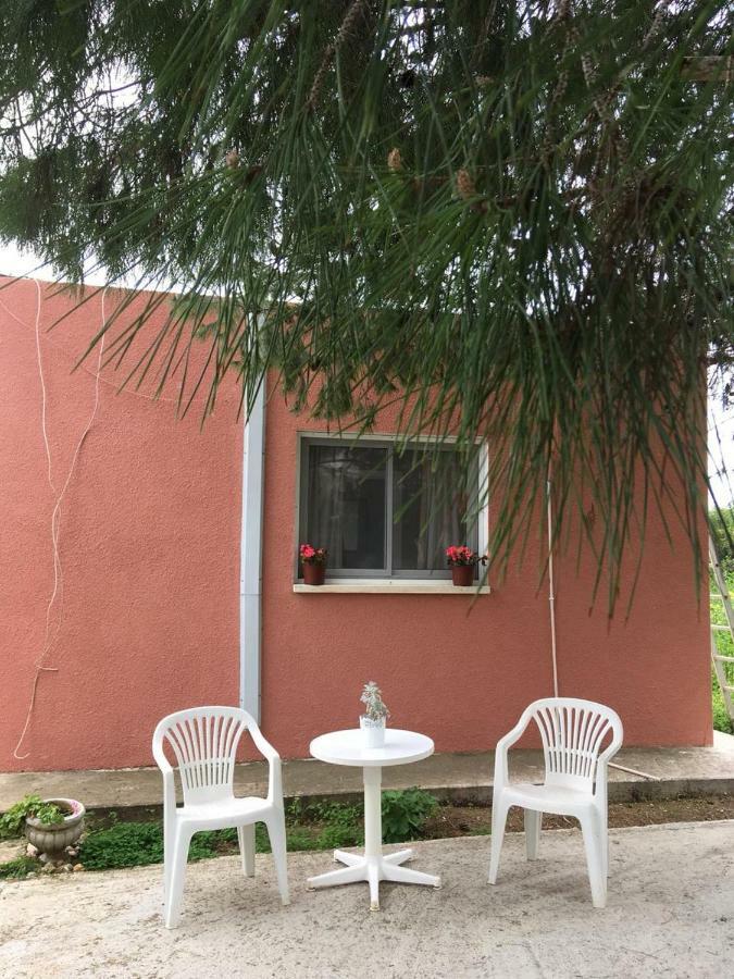 Detached Cozy Studio Паралимни Екстериор снимка