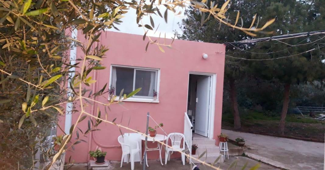 Detached Cozy Studio Паралимни Екстериор снимка