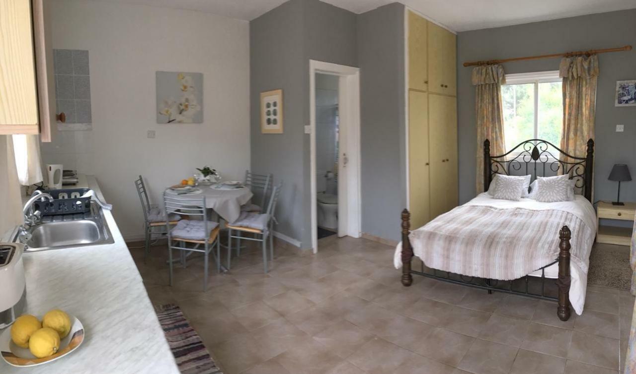 Detached Cozy Studio Паралимни Екстериор снимка